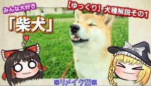 【ゆっくり犬種解説】 by くるみさん