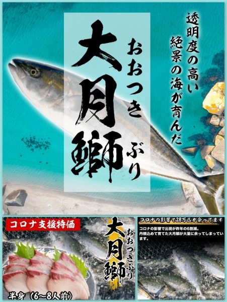 コロナの影響で高知県の養殖ブリが28万匹余っています by くるみさん