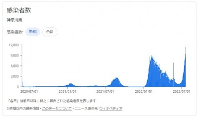 お盆の帰省は中止 by くるみさん