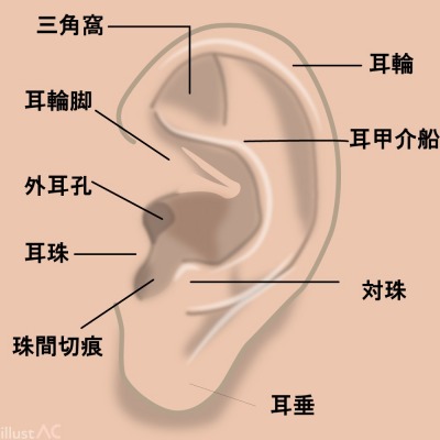 Re: メモ by くるみさん